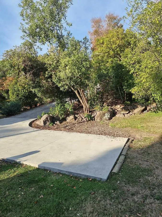 Janice Studio -- Christchurch Holiday Homes
